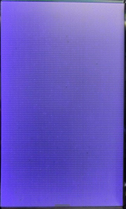 澳门精准4肖